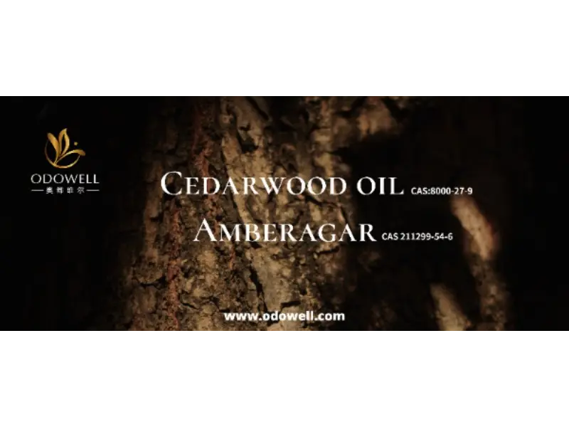 আপনার স্বাক্ষর গন্ধ সত্যিই অনন্য?