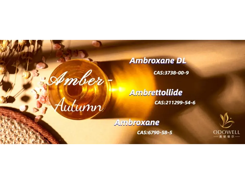 2025 এর জন্য শীর্ষ লিঙ্গ নিরপেক্ষ সুগন্ধি কি কি?