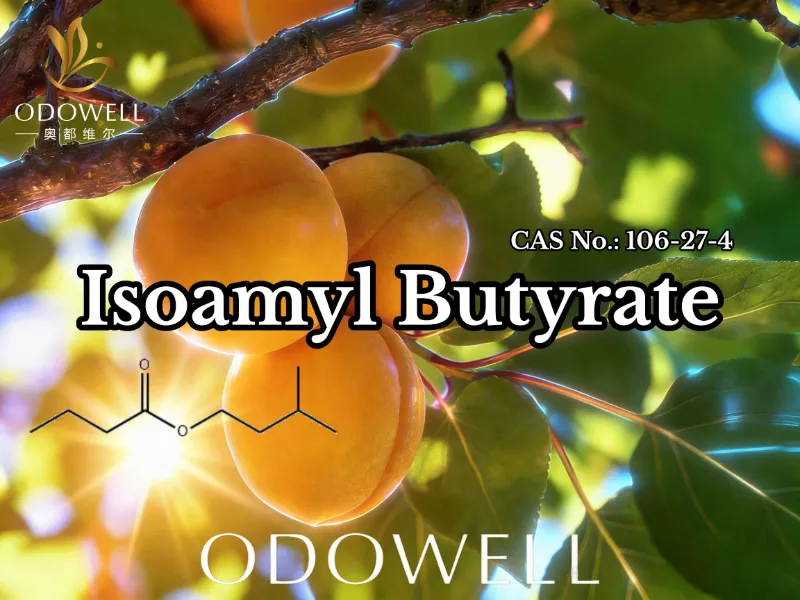 ODOWELL স্বাদ এবং সুগন্ধি প্রয়োগের জন্য Isoamyl Butyrate (CAS 106-27-4) সুপারিশ করে