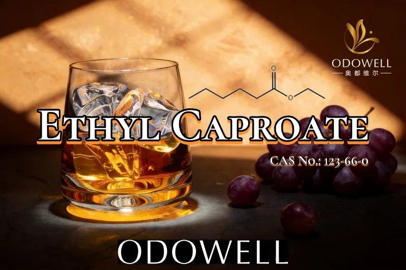 ODOWELL ফল এবং ওয়াইন-সদৃশ স্বাদের অ্যাপ্লিকেশনের জন্য ইথাইল ক্যাপ্রোয়েটের সুপারিশ করে