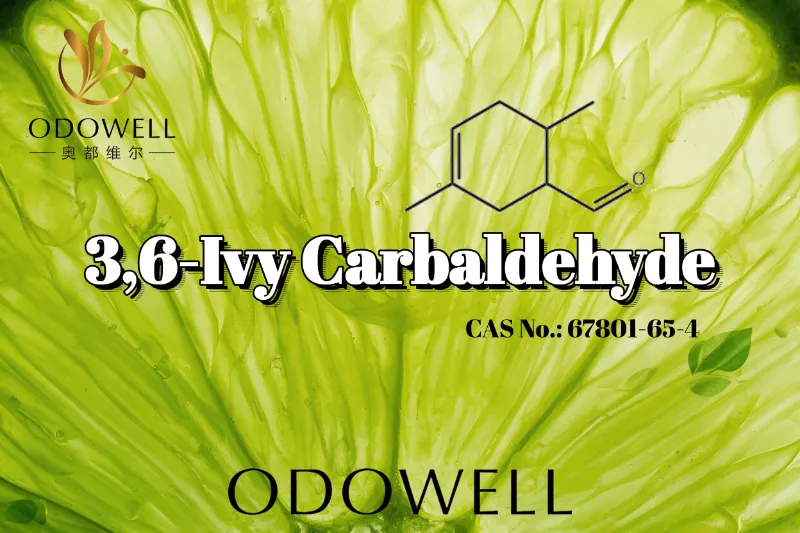 ODOWELL নিবিড়ভাবে সবুজ এবং টার্ট সাইট্রাস সুগন্ধি প্রয়োগের জন্য 3,6-আইভি কার্বালডিহাইডের সুপারিশ করে